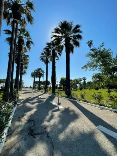 Brand New Apartament Durres
