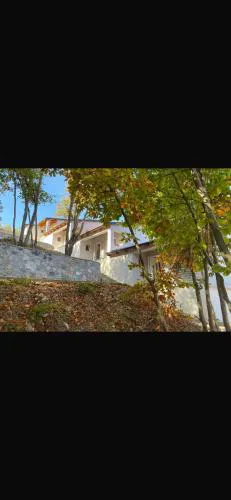 Vila Harxhaj 3