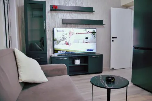 Elegant City Apartment