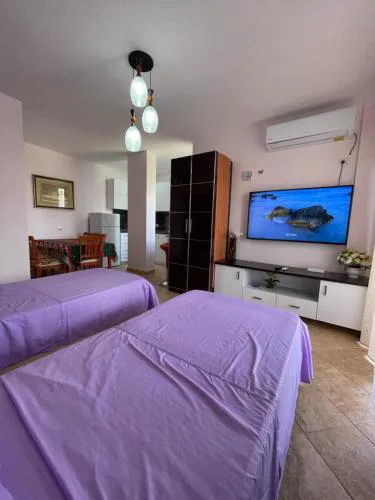 Apartament 1+1