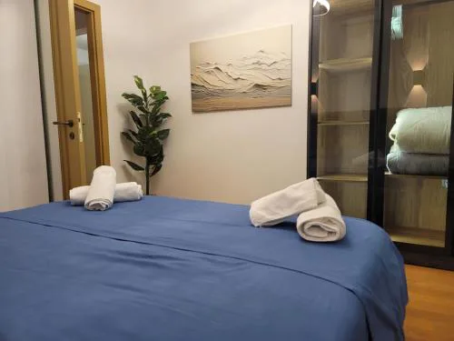 Cozy Apartment ROV