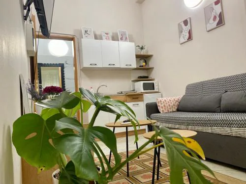 Dori's Wilson Studio at Blloku Neighborhood