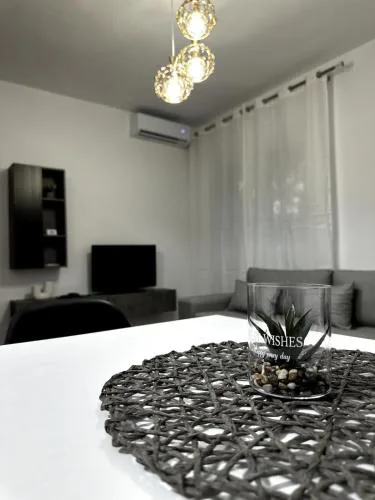 Elegant apartment near the center and stadium