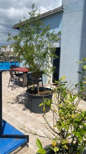 Flori Penthouse City Center P1