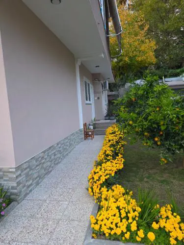 Green Oasis Home