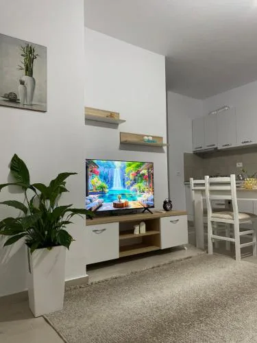 Main apartment Bulevard 5