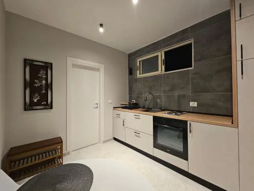 Studio Apartment near Pazari Ri