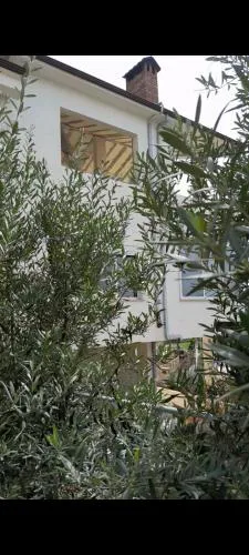 Villa Guci