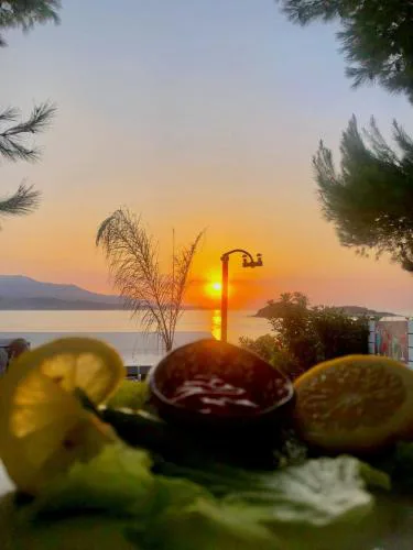 Hotel Villa Adrian