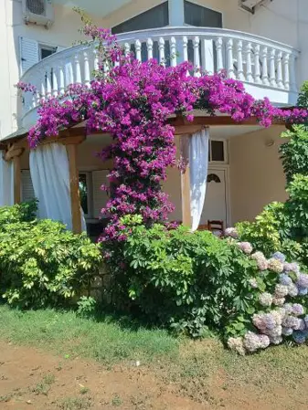 Oruci Apartments