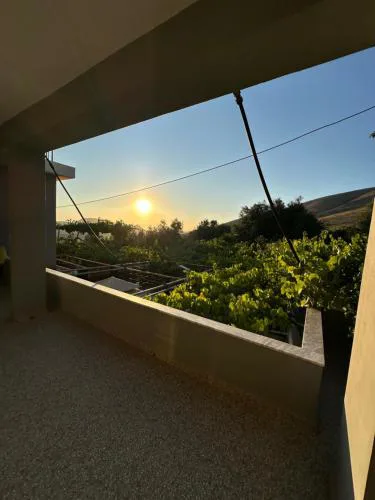 Te Nana's Farm