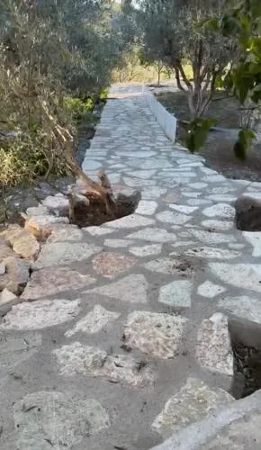 Doros Apartment Saranda Terrace
