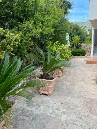 Garden Villa 6