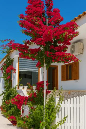 Luxury Dennis Home