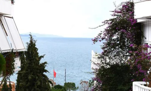 Overlooking the sea