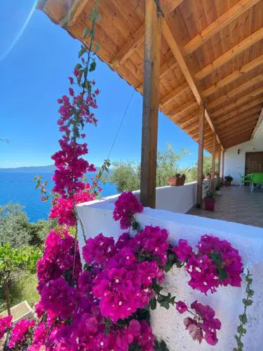 Small house, Sarandë