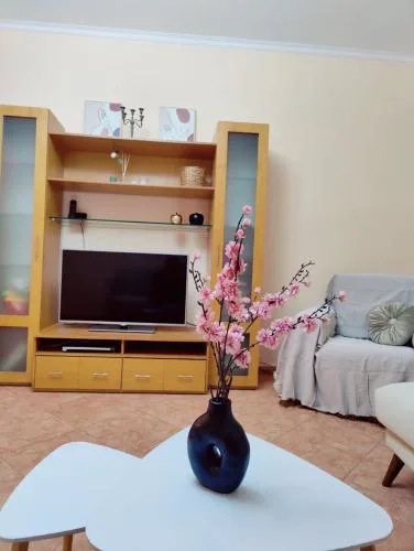 Apartment in Center