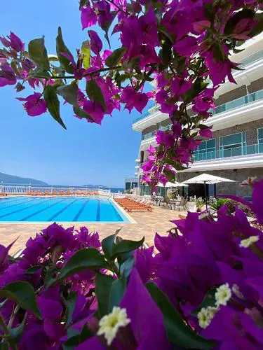 Toto Hotel & Apartments