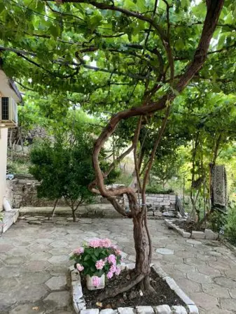 Isaraj Guest House