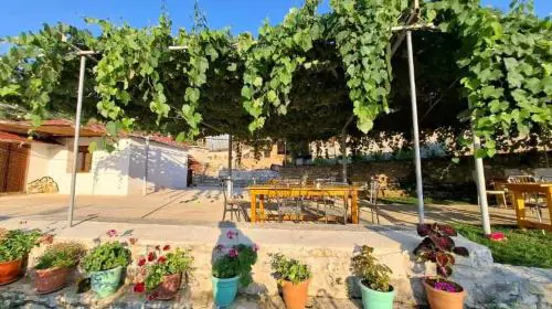 Guest House Vatra