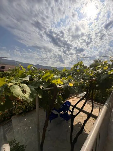 Apartament Teuta