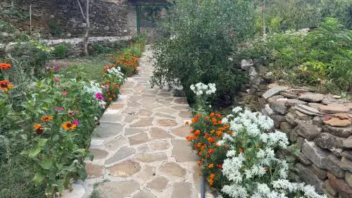 GUEST HOUSE FELAU,Leusë