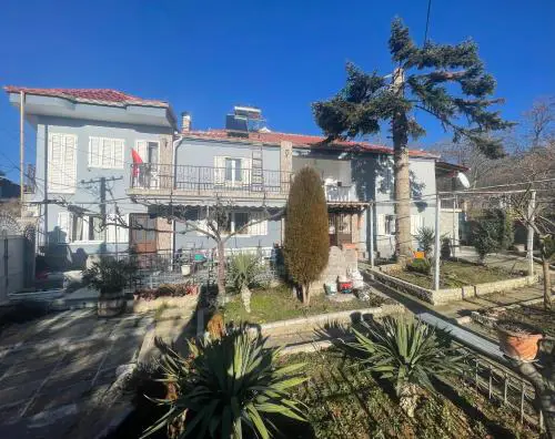 Vila Tradicionale Violeta Korce
