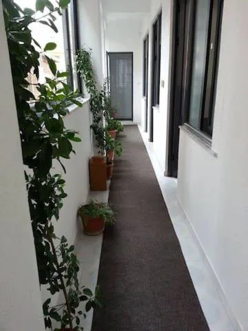Guest House AZA