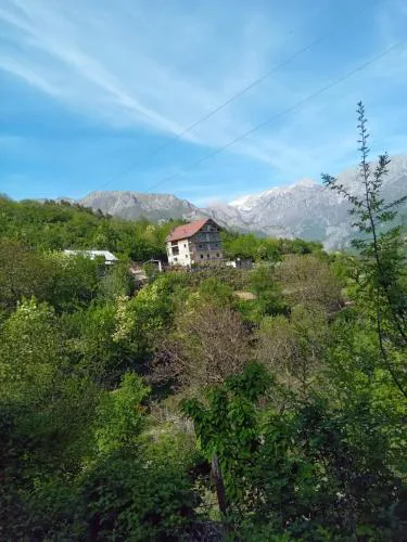 Bujtina Aliaj