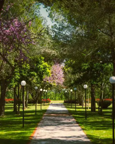 Green Park Divjake