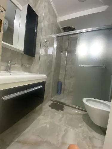 Lagja liri pran televizionit komb fier