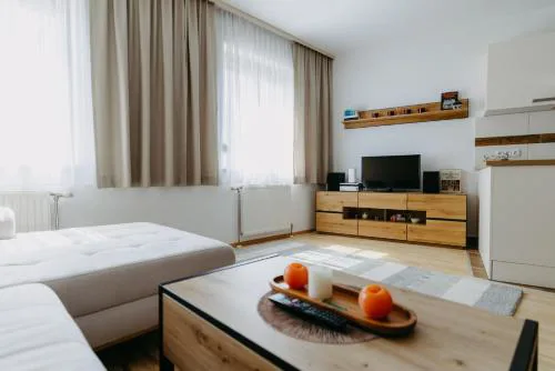 Apartment Zentral
