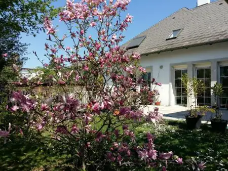 Ferienwohnung Heider