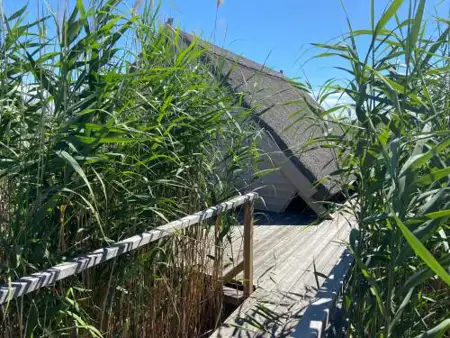 Seehütte Neusiedlersee - Waterfront 2