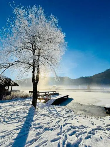 SeeHotel & SeeApartments Kärntnerhof- direkt am See!