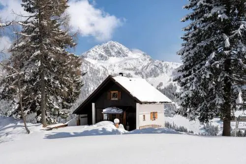 Gemütliche Skihütte an der Piste Ski-in & Ski-out