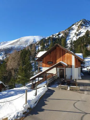 Bergheim Schmidt Ski-In Ski-Out Appartements Almhütten im Wald