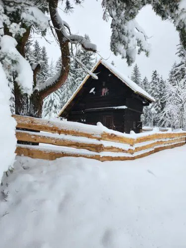 Urige Waldbienenhütte