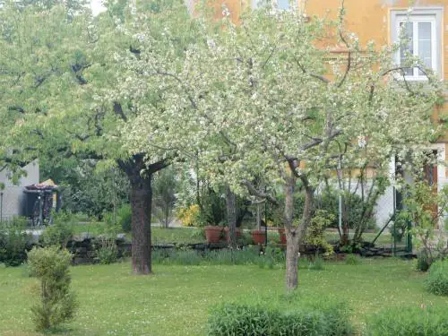Greenhouse 22