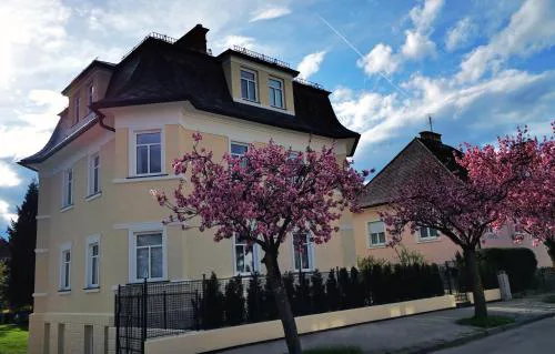 Villa Kreuzbergl - Apartment