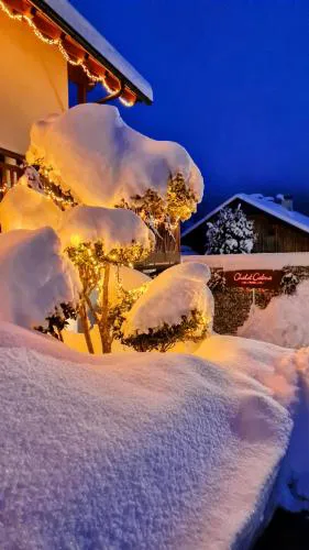 Chalet Catina