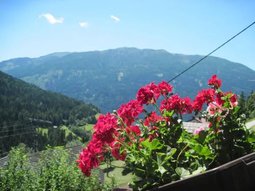 Chalet Catton Two Bedroom Appartement near Bad Kleinkirchheim