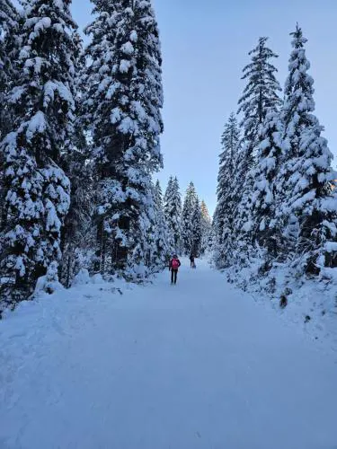 Panoramablick Exklusiv