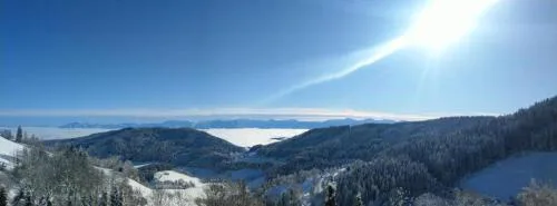 Stilvolles Panorama-Appartement