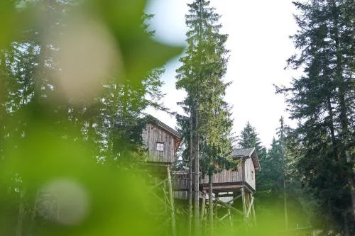 Baumhotel