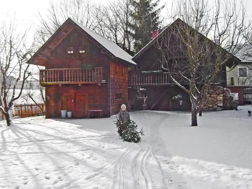 Chalet Troadkasten by Interhome