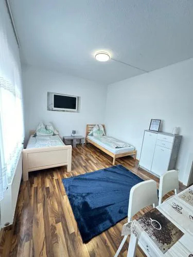 Appartement Schwanenstadt