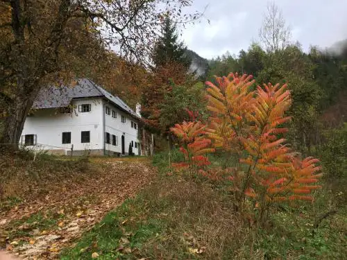 Forsthaus Gut Traunfried