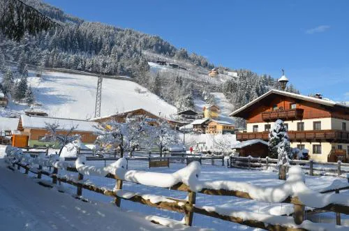 Scheibenhof