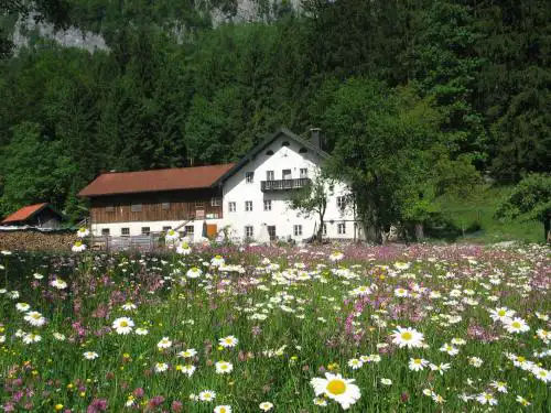 Ferienwohnung Bluntaumühle